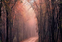 壹号娱乐官网：地上足球：国足再迎生死战？要想取胜必须做到这两点.