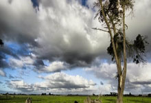 拜仁官方：基米希、奥利塞等部分国脚周三已归队训练.