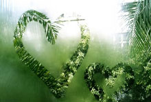 壹号娱乐官网：[图]德国杯：吉拉西姆武帕破门 斯图加特2-0多特蒙德.