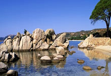 罗伯逊刷新纪录成历史第一人！澳洲火炮圆梦排名.